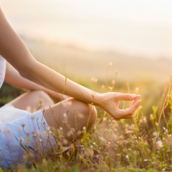 Coaching Méditation &...