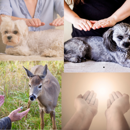 Soin énergétique pour animaux à distance combinant Reiki, Magnétisme et Runes par Delphine - Créations Serpentine