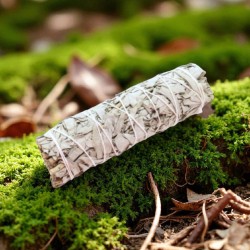 Fagot de sauge blanche