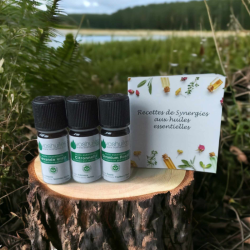 Kit anti-insectes - huiles essentielles bio